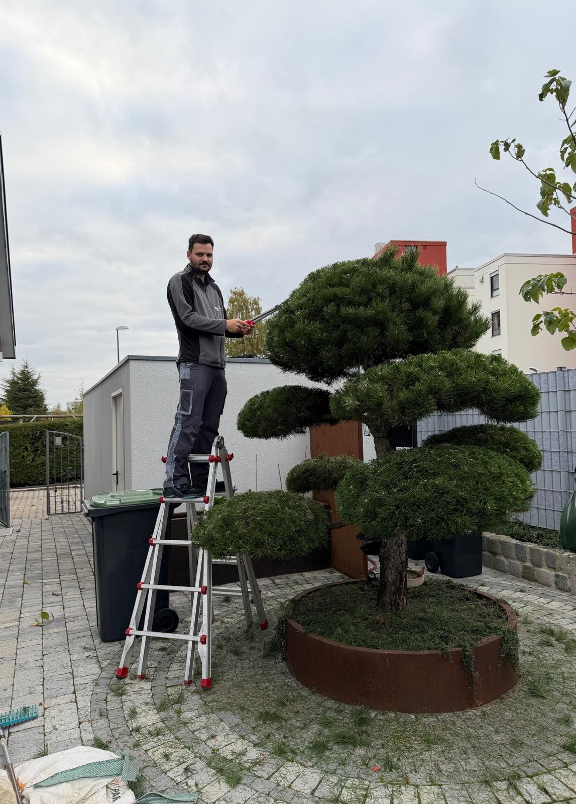 Beschreibung des Bildes