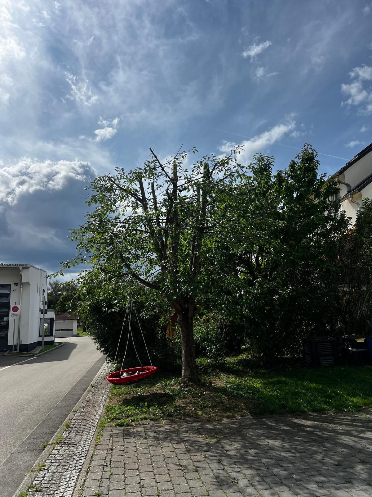 Wohnanlage Holzgerlingen